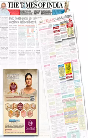 Saamna Times tearsheet proof